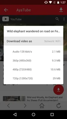 AyaTube Video Downloader android App screenshot 3